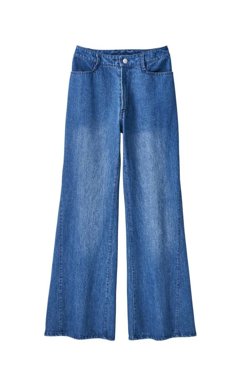 denim baggy pants/blue